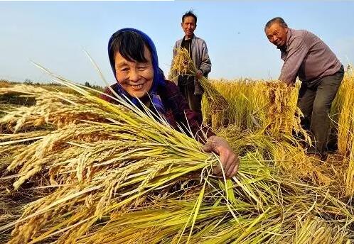 重磅！繼包產(chǎn)到戶之后，我國(guó)農(nóng)村又一次迎來(lái)重大改革