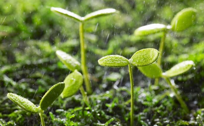 動態(tài) | 生物刺激劑多重效果大揭秘，可減少百萬噸氮肥的投入！